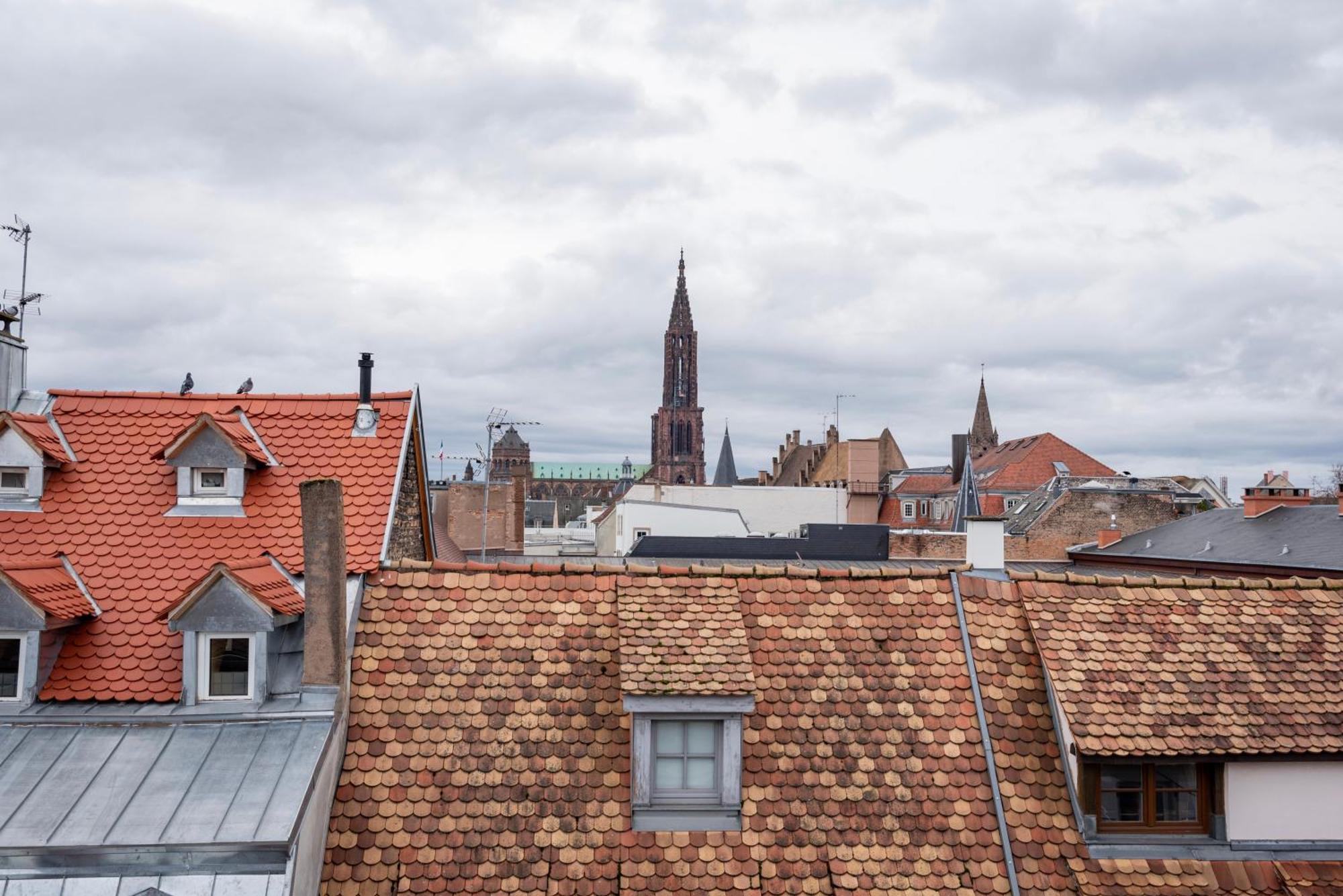Le Schoepflin - Coeur De Strasbourg - Vue Toits Exterior foto